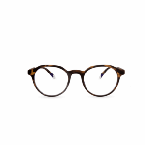 BARNER-CHAMBERI-TORTOISE